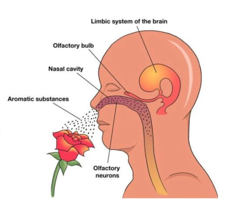 screenshot 2025 11 17 at 16.18.08